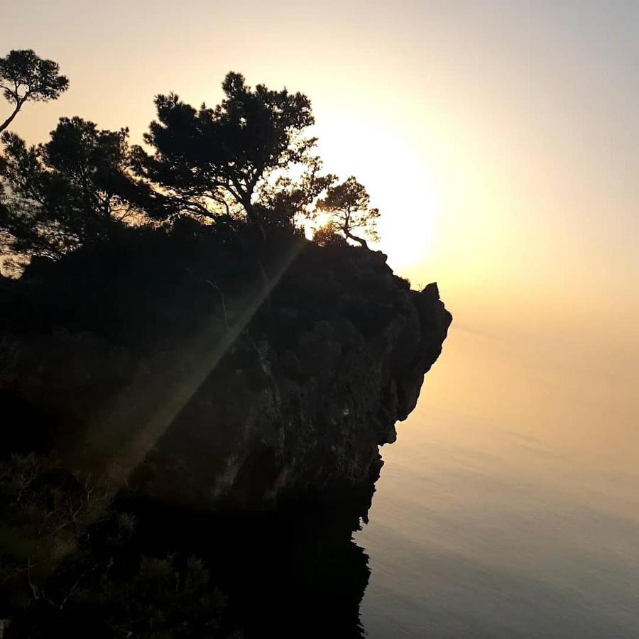Villa Luka بريلا المظهر الخارجي الصورة