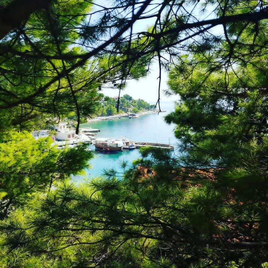 Villa Luka بريلا المظهر الخارجي الصورة